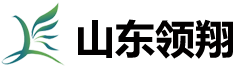 山东领翔新材料有限公司