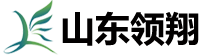 山东领翔新材料有限公司